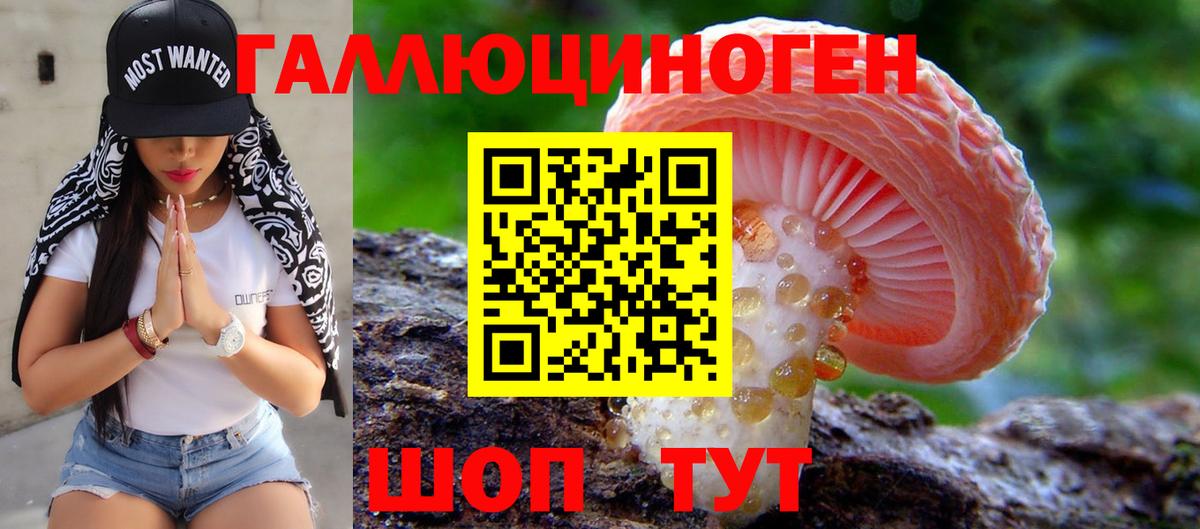 Галлюциногенные грибы Magic Shrooms  Вход с VPN  Галлюциногенные грибы Magic Shrooms  Елец 