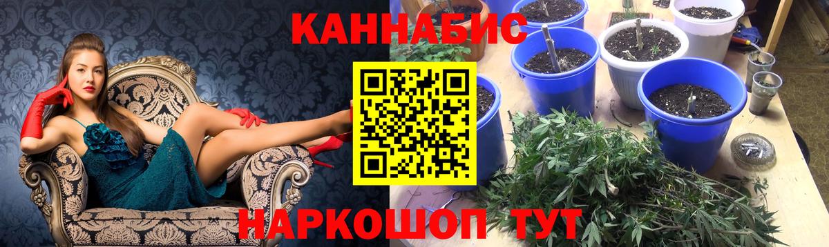 Шишки марихуана сатива Елец